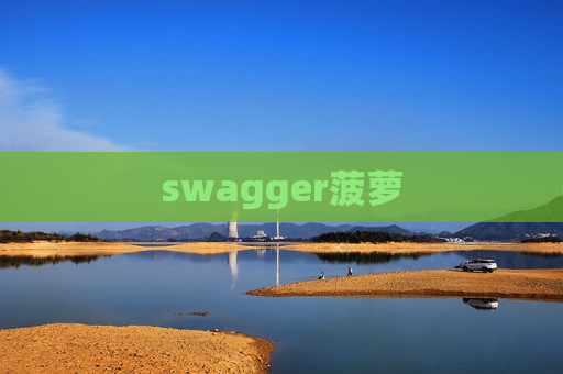 swagger菠萝